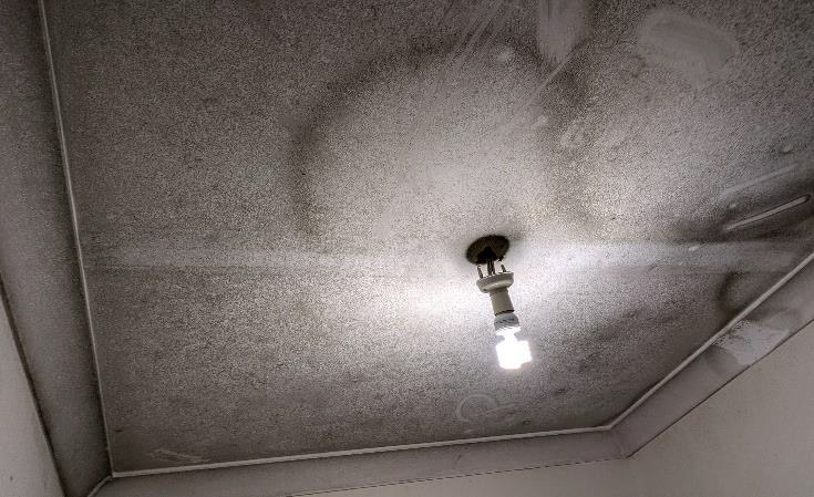 Illicit drug assessment - excessive moisture and mould in grow room