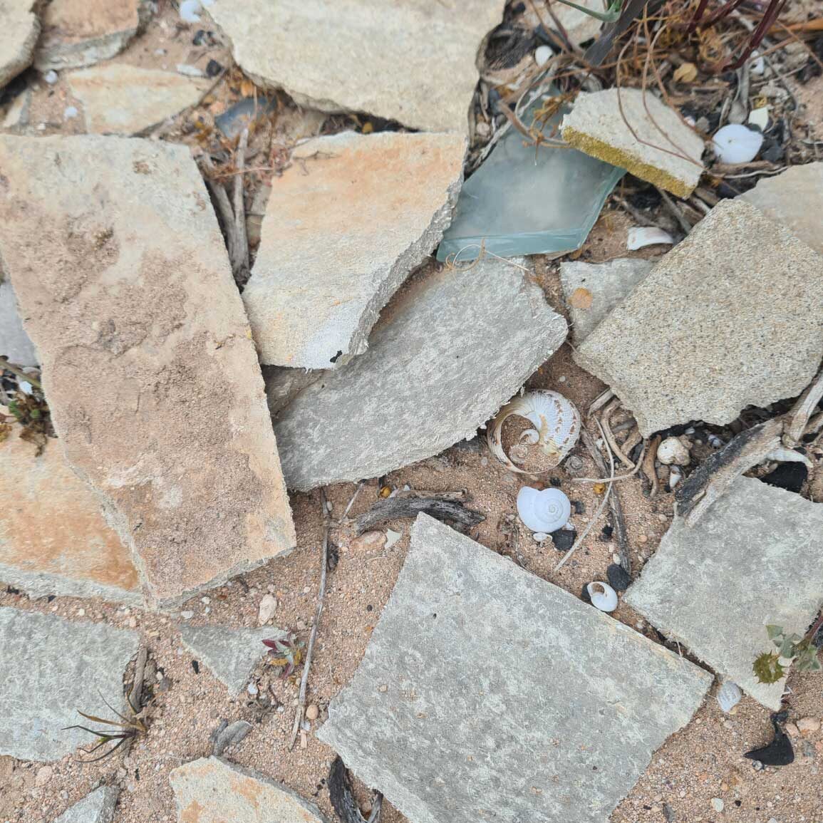 Asbestos inspection found asbestos debris at Adelaide property