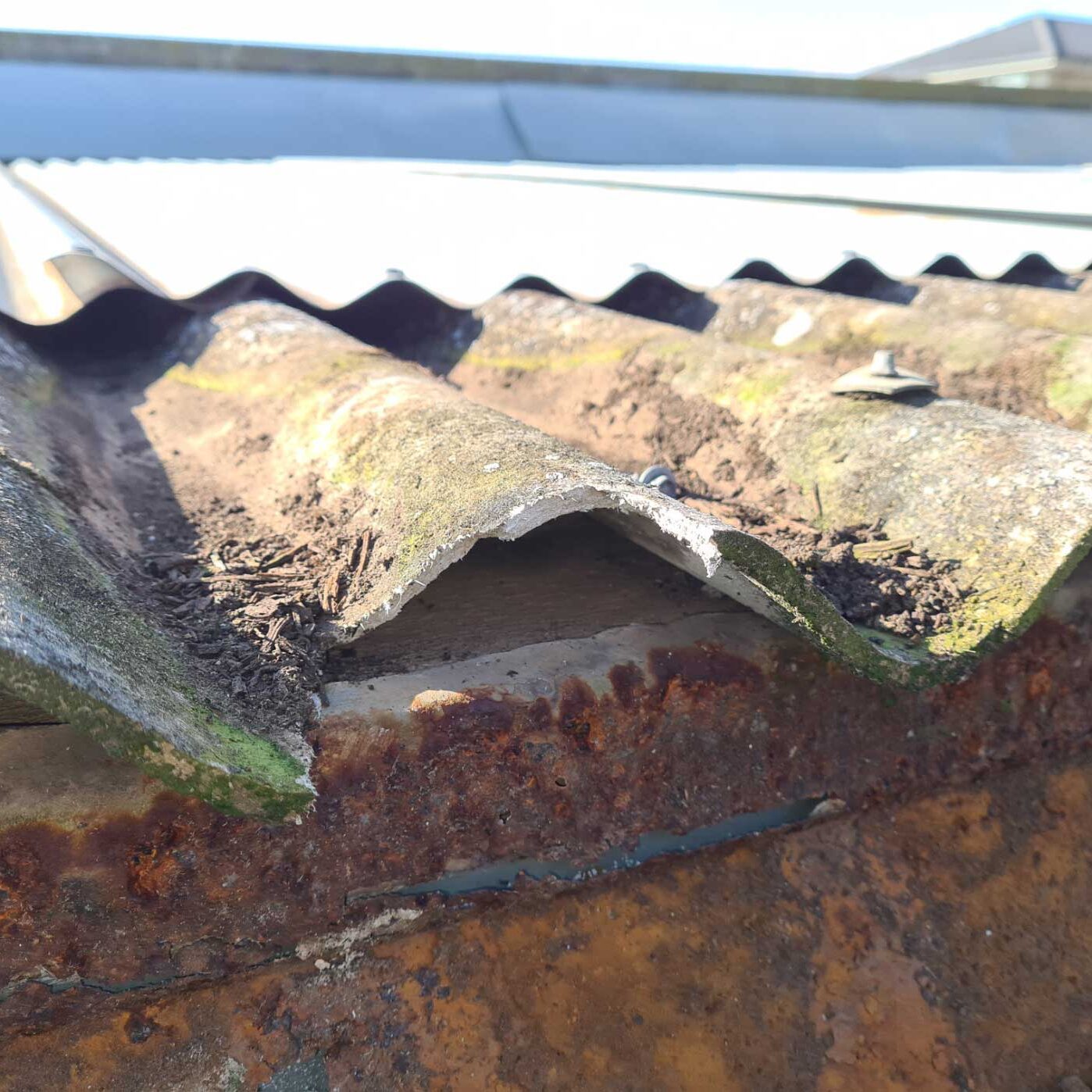 Asbestos roof hidden under corrugated iron roof - Adelaide