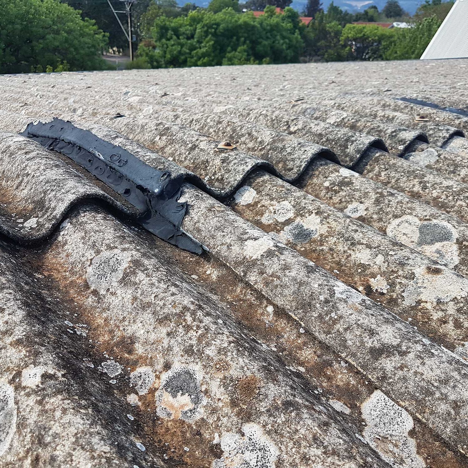 Asbestos roof - leaking and weathered