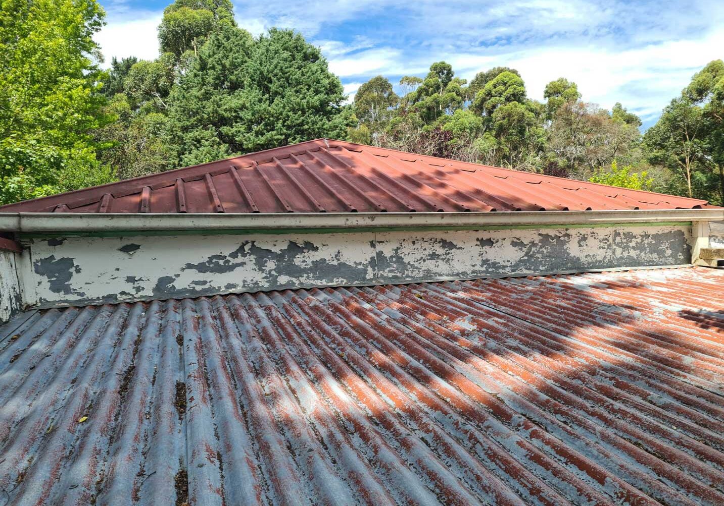 Hazmat inspection - lead paint on residential property