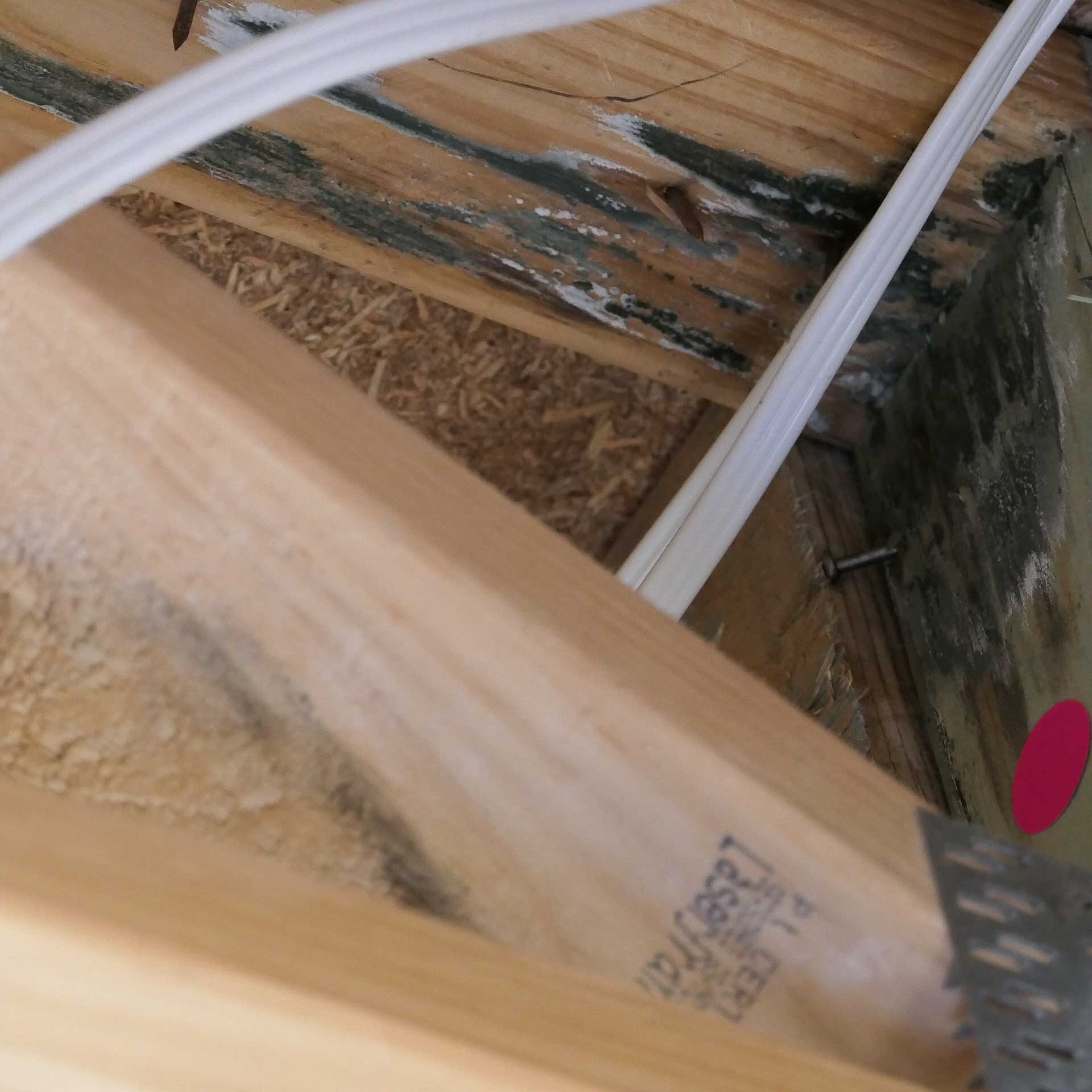 Mould discovered on structural floor truss