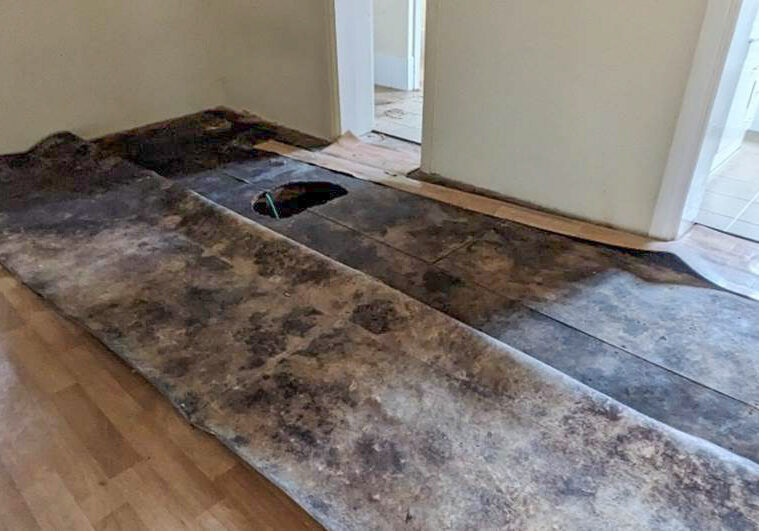 Mould everywhere! Inspection uncovers severe moisture - floor collapse due to fungal rot hidden under vinyl floor